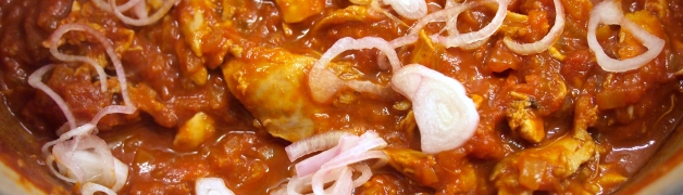 Mexican Chicken Stew with zingy onions